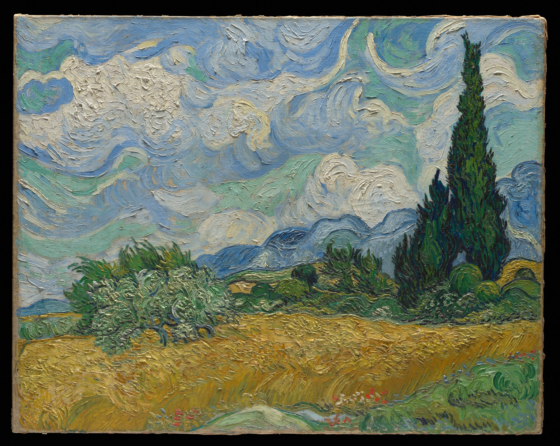 Cyprès aux blés d’or, peinture de Vincent van Gogh, avec un ciel tourbillonnant, un grand cyprès vert et un champ de blé jaune