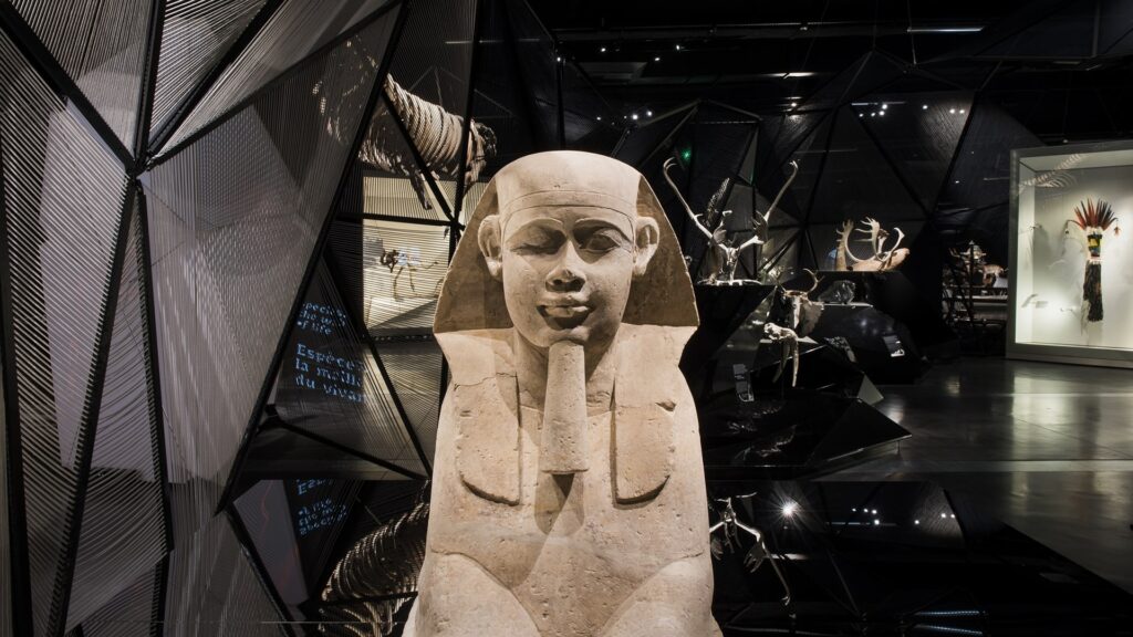 Espèces
la maille du vivant
Parcours permanent