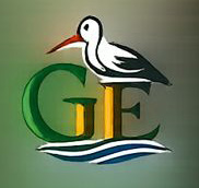 Pictogramme Artroscope – Grand Est, éclat des passages