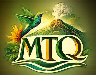 Pictogramme Artroscope – Martinique, volcan intérieur