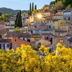 Paysage de Tanneron sur la Route du Mimosa, collines lumineuses et floraison jaune en hiver.