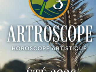 Artroscope : entre environnements internes et externes, la stratégie du sensible