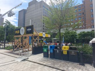 Véritable célébration des musiques d’expression francophone